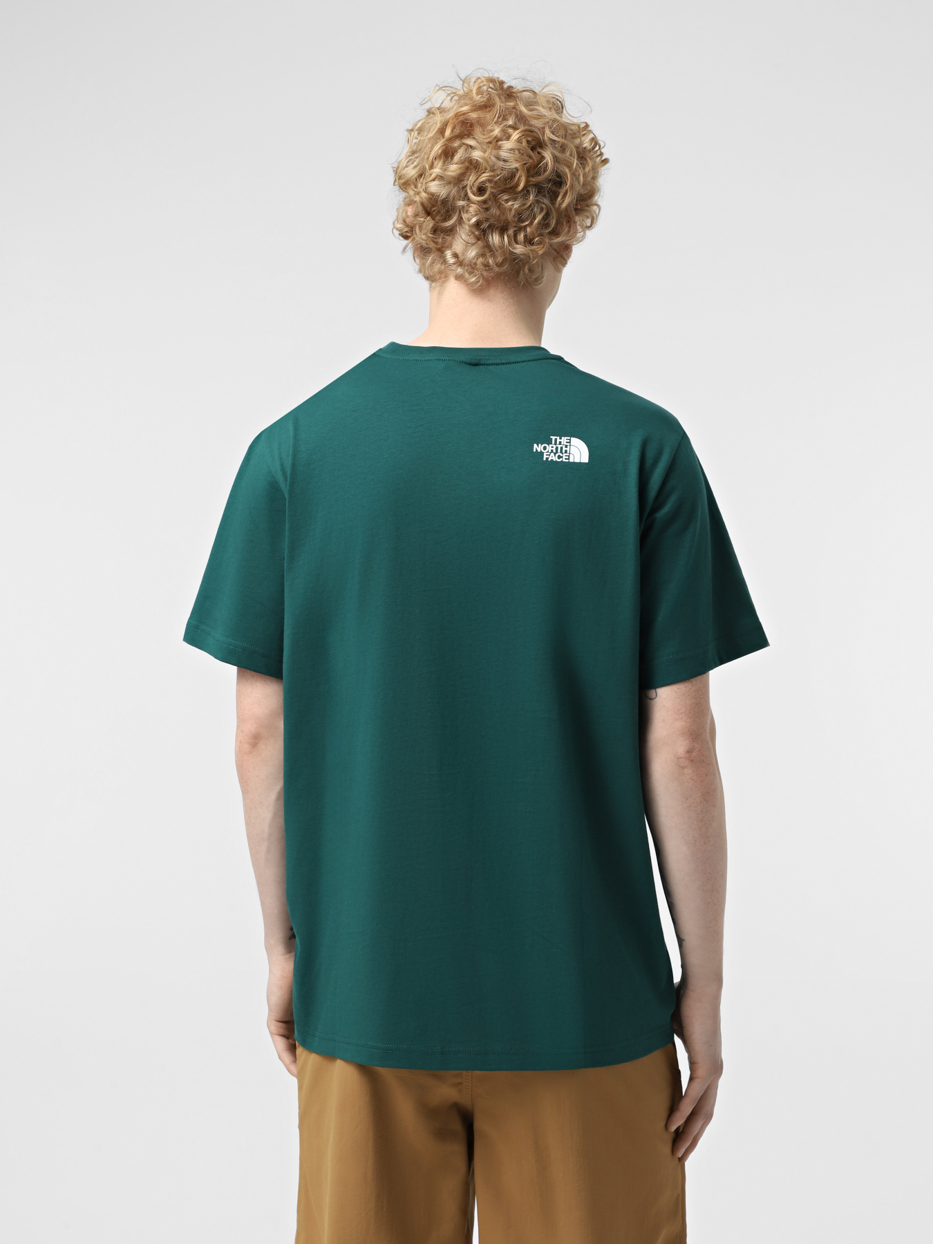 Футболки и поло The North Face Biner Graphic 1 модель NF0A894X6GI1 Футболки и поло The North Face Biner Graphic 1 модель NF0A894X6GI1 Фото