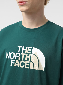 Футболки и поло The North Face Biner Graphic 1 модель NF0A894X6GI1 Фото