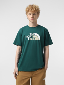 Футболки і поло The North Face Biner Graphic 1 модель NF0A894X6GI1 Фото