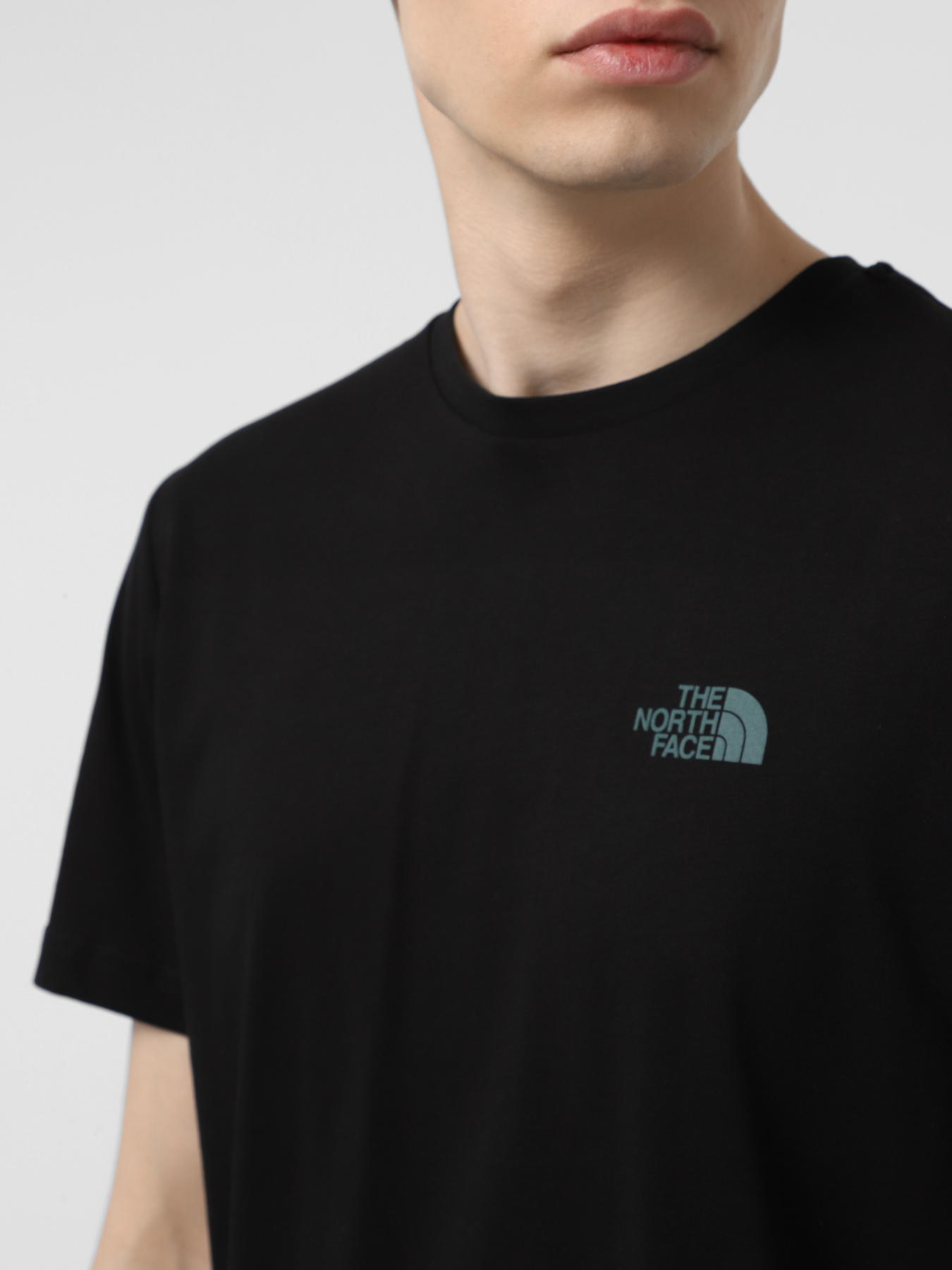 Футболки і поло The North Face NSE Box модель NF0A8C4U9431 Футболки і поло The North Face NSE Box модель NF0A8C4U9431 Фото