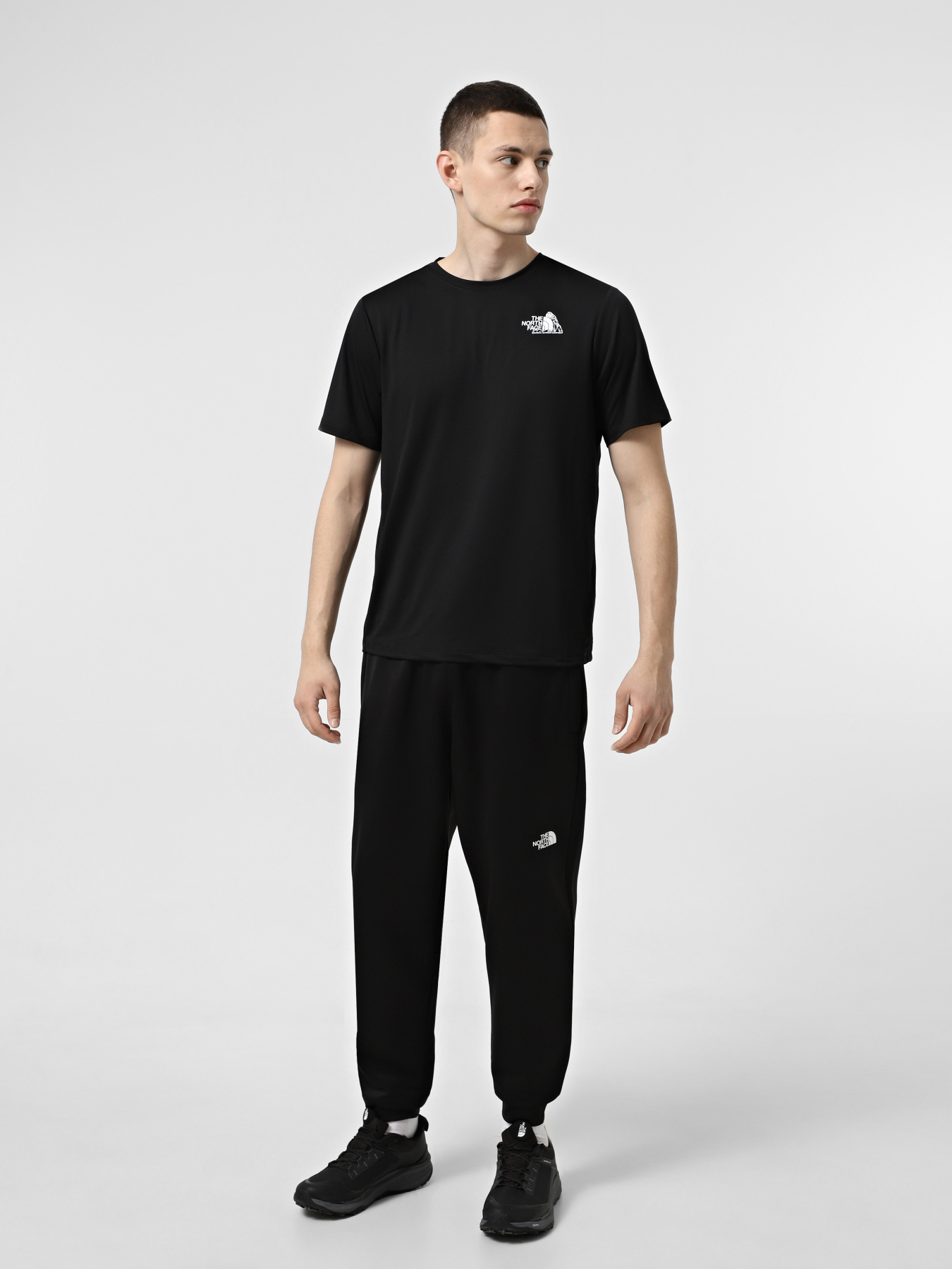 Футболки и поло The North Face 24/7 Graphic модель NF0A895JJK31 Фото