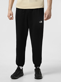 Брюки The North Face Simple Dome модель NF0A8C1WJK31 Фото