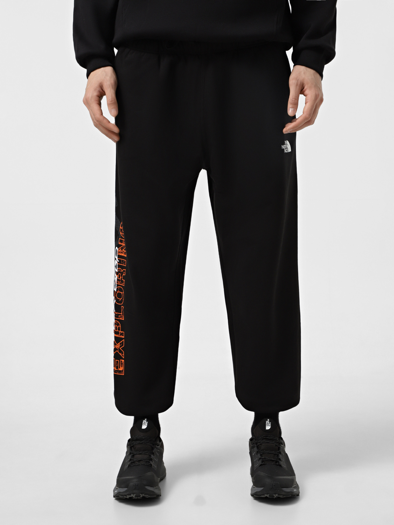 Штани The North Face Nse Relaxed модель NF0A8C3WJK31 Фото