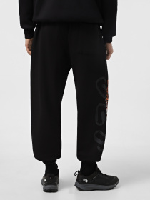 Штани The North Face Nse Relaxed модель NF0A8C3WJK31 Фото