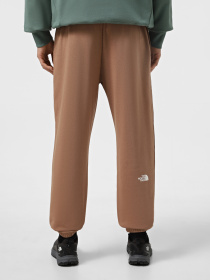 Штани The North Face Simple Dome Light Regular Tapered модель NF0A8C416IH1 Фото
