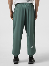 Штани The North Face Ma Wind модель NF0A8BGNHCH1 Фото