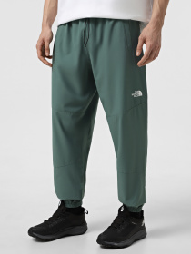 Брюки The North Face Ma Wind модель NF0A8BGNHCH1 Фото