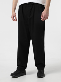 Брюки The North Face Belted Utility модель NF0A8B62JK31 Фото