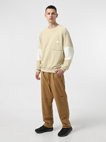 Брюки The North Face Belted модель NF0A8B621731 Фото