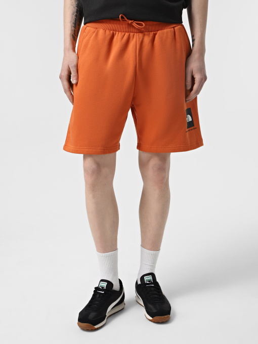Шорти The North Face Box NSE модель NF0A8C1J6D21 Фото