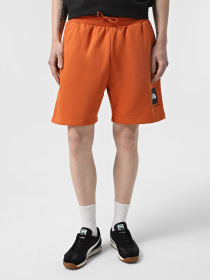 Шорты The North Face Box NSE модель NF0A8C1J6D21 Фото