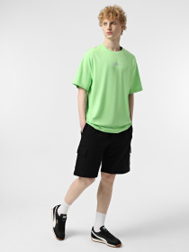 Шорты The North Face Cargo модель NF0A8C2ZJK31 Фото