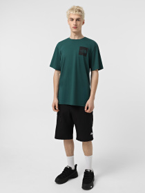 Шорти The North Face Resolve модель NF0A556V4H01 Фото
