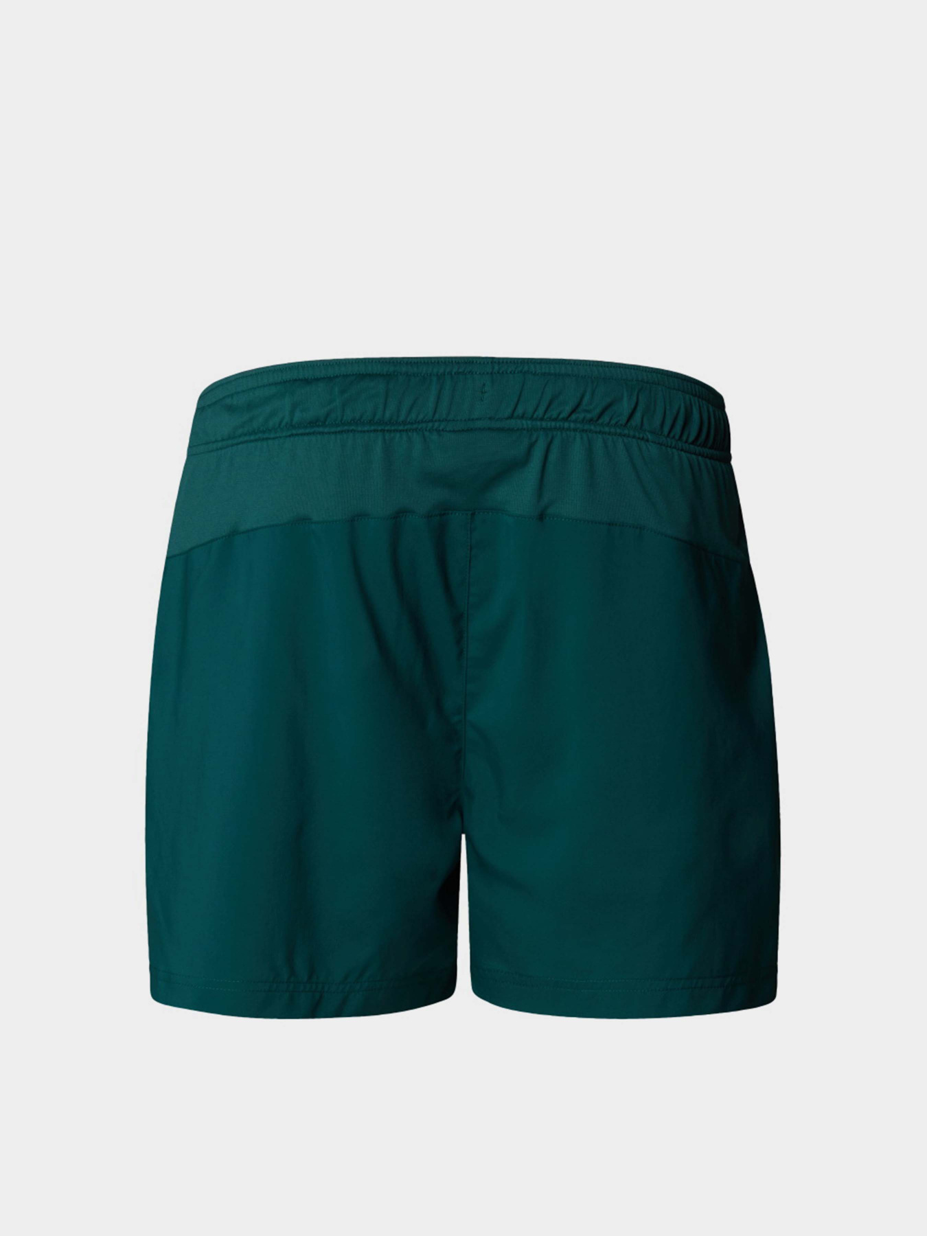 Шорти The North Face 24/7 5'' модель NF0A882D6GI1 Шорти The North Face 24/7 5'' модель NF0A882D6GI1 Фото