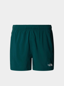 Шорти The North Face 24/7 5'' модель NF0A882D6GI1 Фото