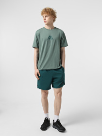 Шорти The North Face 24/7 7in Shorts Graphic модель NF0A8BP66GI1 Фото