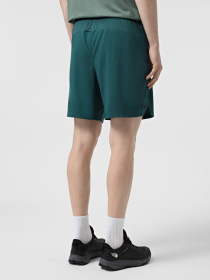 Шорти The North Face 24/7 7in Shorts Graphic модель NF0A8BP66GI1 Фото