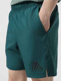Шорти The North Face 24/7 7in Shorts Graphic модель NF0A8BP66GI1 Фото