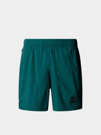 Шорти The North Face 24/7 7in Shorts Graphic модель NF0A8BP66GI1 Фото