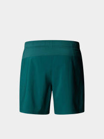 Шорти The North Face 24/7 7in Shorts Graphic модель NF0A8BP66GI1 Фото