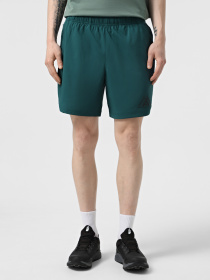 Шорти The North Face 24/7 7in Shorts Graphic модель NF0A8BP66GI1 Фото