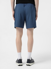 Шорти The North Face 24/7 7in Shorts Graphic модель NF0A8BP6HDC1 Фото