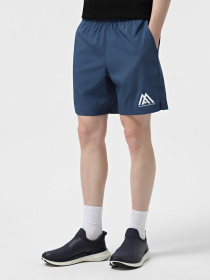 Шорти The North Face 24/7 7in Shorts Graphic модель NF0A8BP6HDC1 Фото