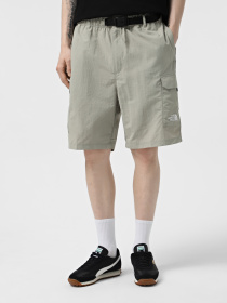 Шорти The North Face NSE модель NF0A8BJM1I41 Фото
