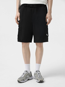 Шорти The North Face NSE модель NF0A8BJMJK31 Фото
