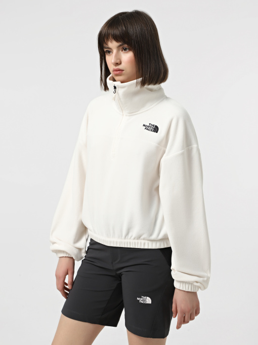 Худі та світшоти The North Face 100 Glacier 1/2 Zip Fleece модель NF0A89J9QLI1 Фото