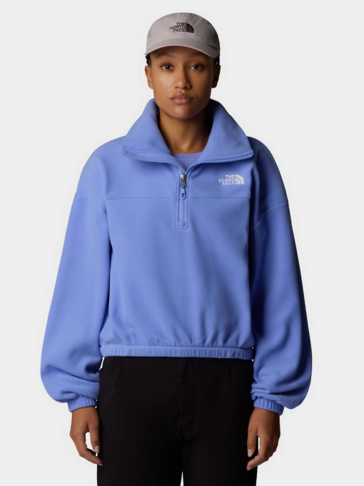 Худі та світшоти The North Face 100 Glacier 1/2 Zip Fleece модель NF0A89J90YI1 Фото