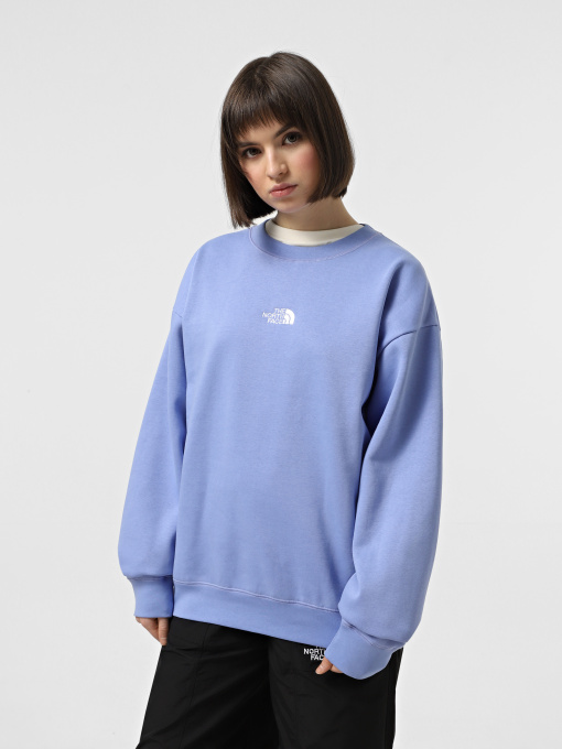 Худи и свитшоты The North Face Essential модель NF0A89EP0YI1 Фото