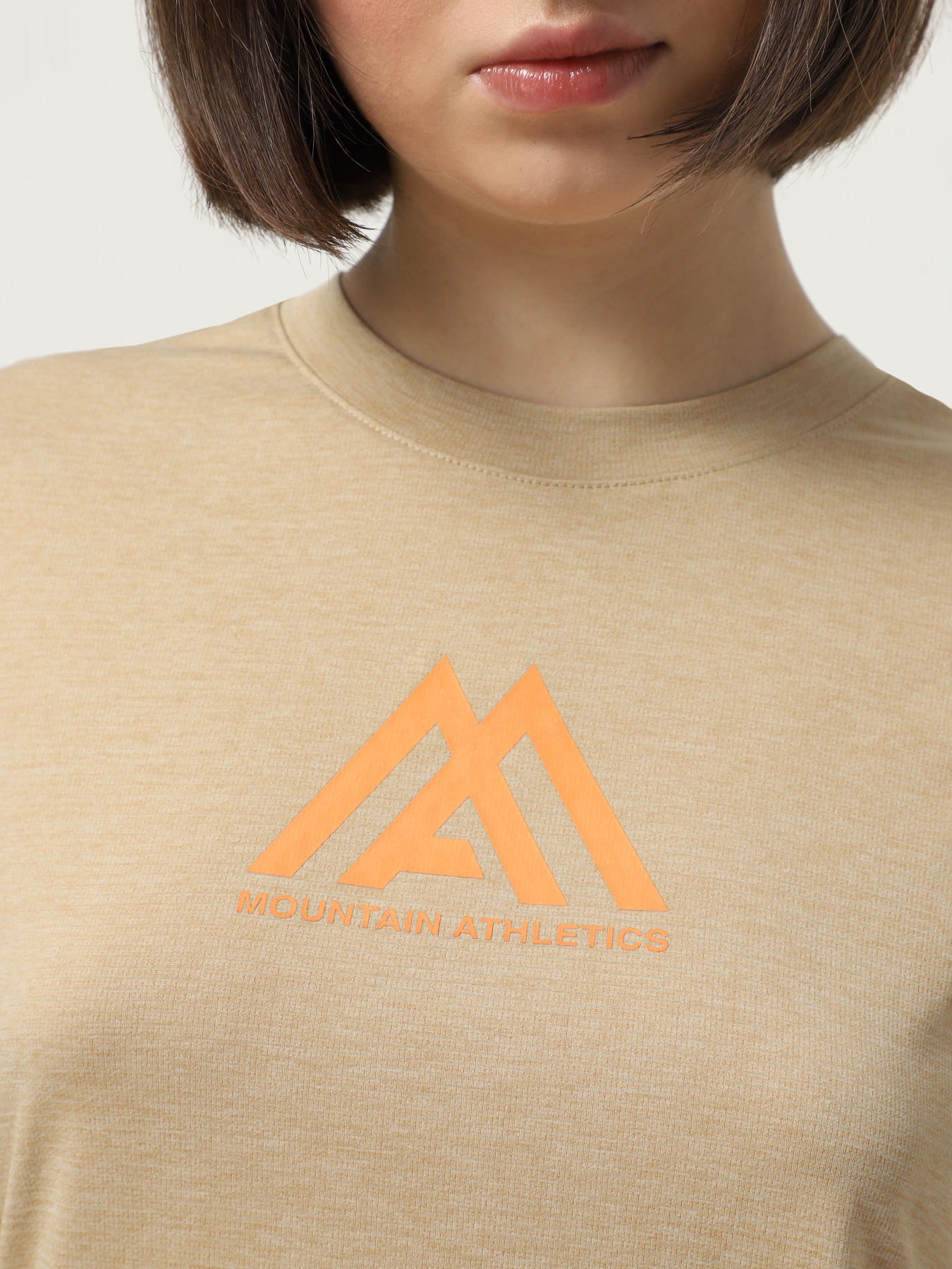 Футболки і поло The North Face Flex S/S Tee Ma Graphic модель NF0A8BH8N481 Футболки і поло The North Face Flex S/S Tee Ma Graphic модель NF0A8BH8N481 Фото