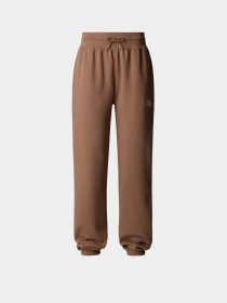 Брюки The North Face Essential Relaxed Straight модель NF0A8C1G6IH1 Фото