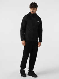 Худи и свитшоты The North Face Meteora модель NF0A8E1KJK31 Фото