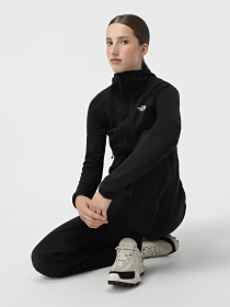 Худі та світшоти The North Face Meteora модель NF0A8E2RJK31 Фото