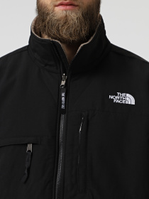Худі та світшоти The North Face Retro Denali модель NF0A88XHDHL1 Фото