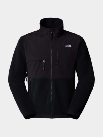 Худи и свитшоты The North Face Retro Denali модель NF0A88XHJK31 Фото