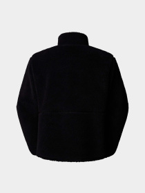 Худи и свитшоты The North Face Extreme Pile 2 модель NF0A88Y6JK31 Фото