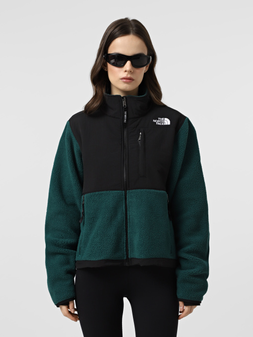 Худи и свитшоты The North Face Retro Denali модель NF0A88YRDFI1 Фото