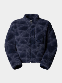 Худі та світшоти The North Face Extreme Pile модель NF0A8D5XD3O1 Фото