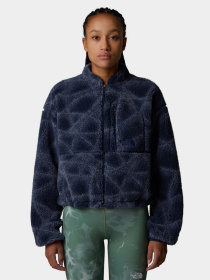 Худі та світшоти The North Face Extreme Pile модель NF0A8D5XD3O1 Фото