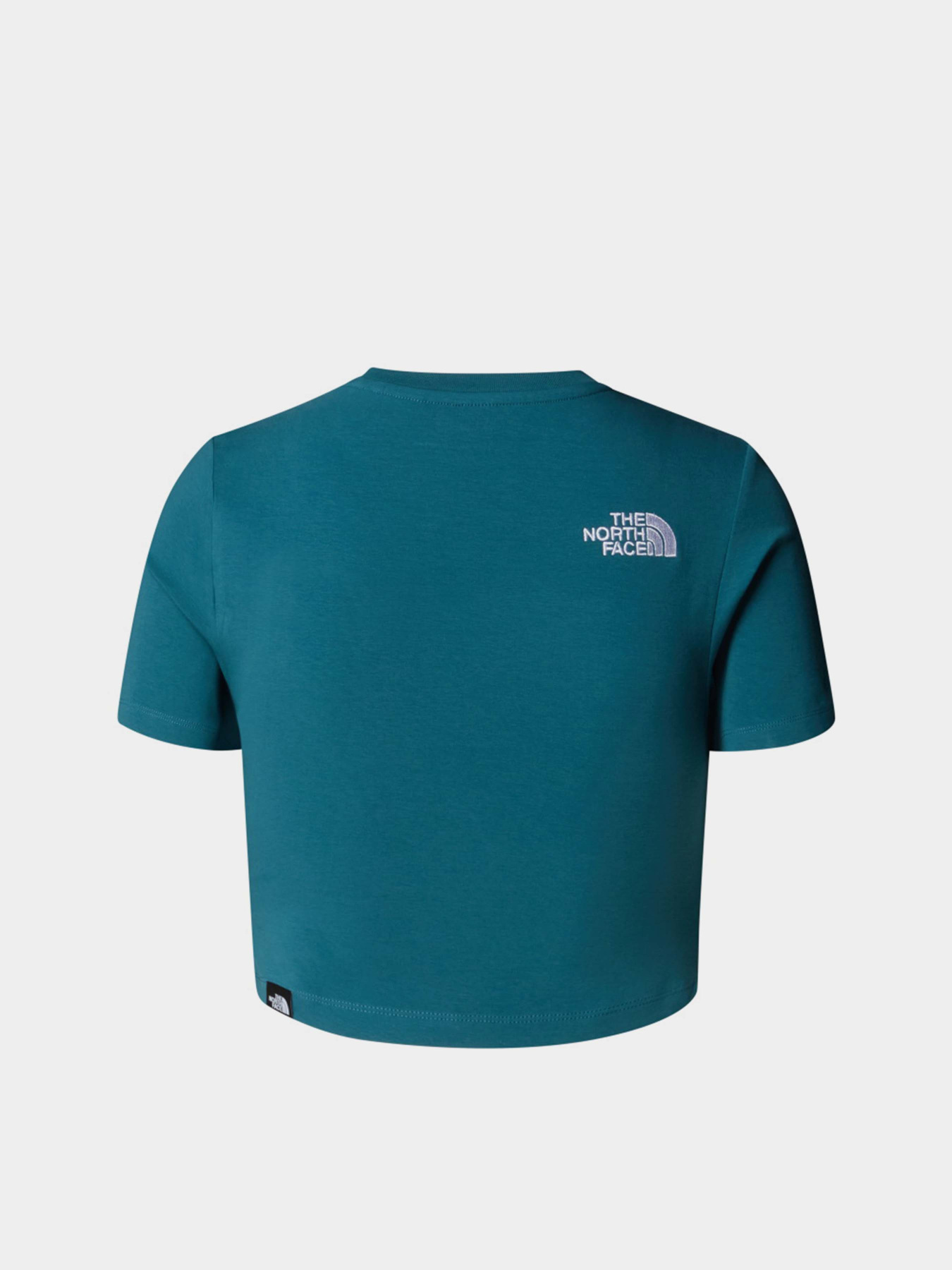Футболки і поло The North Face Essential модель NF0A55AOBQ51 Футболки і поло The North Face Essential модель NF0A55AOBQ51 Фото
