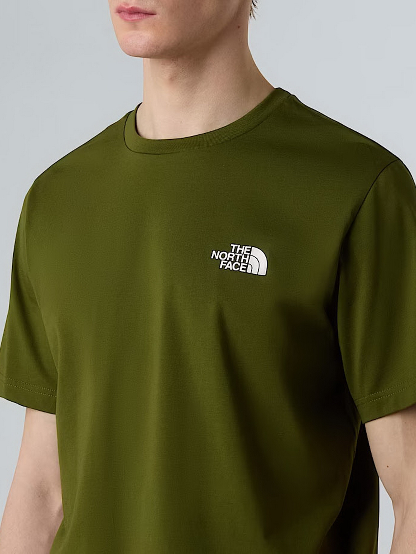Футболки і поло The North Face Simple Dome модель NF0A87NGBRI1 Футболки і поло The North Face Simple Dome модель NF0A87NGBRI1 Фото