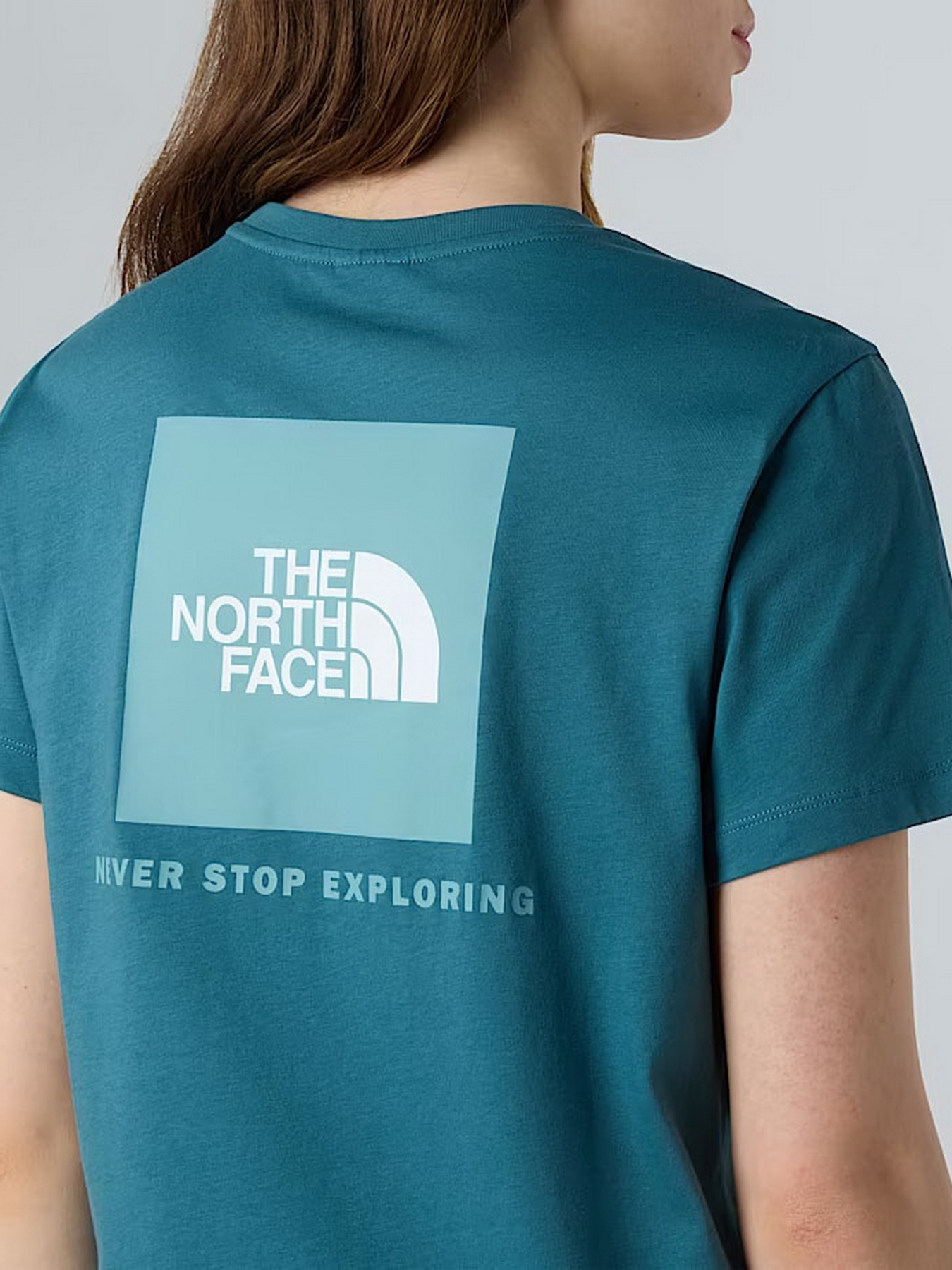 Футболки і поло The North Face NSE Box модель NF0A87NKE311 Футболки і поло The North Face NSE Box модель NF0A87NKE311 Фото