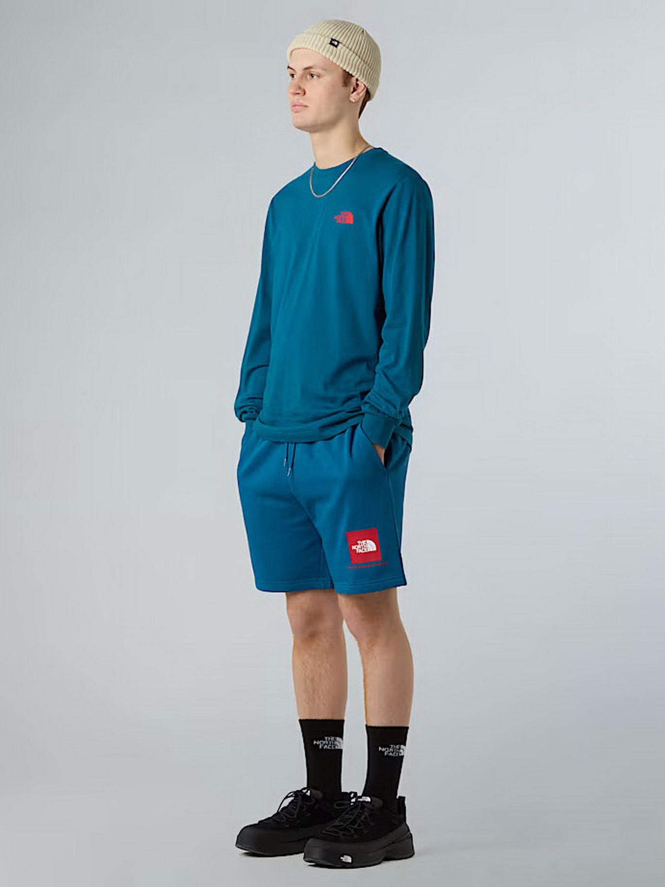 Худи и свитшоты The North Face NSE Box модель NF0A87NNF9T1 Худи и свитшоты The North Face NSE Box модель NF0A87NNF9T1 Фото