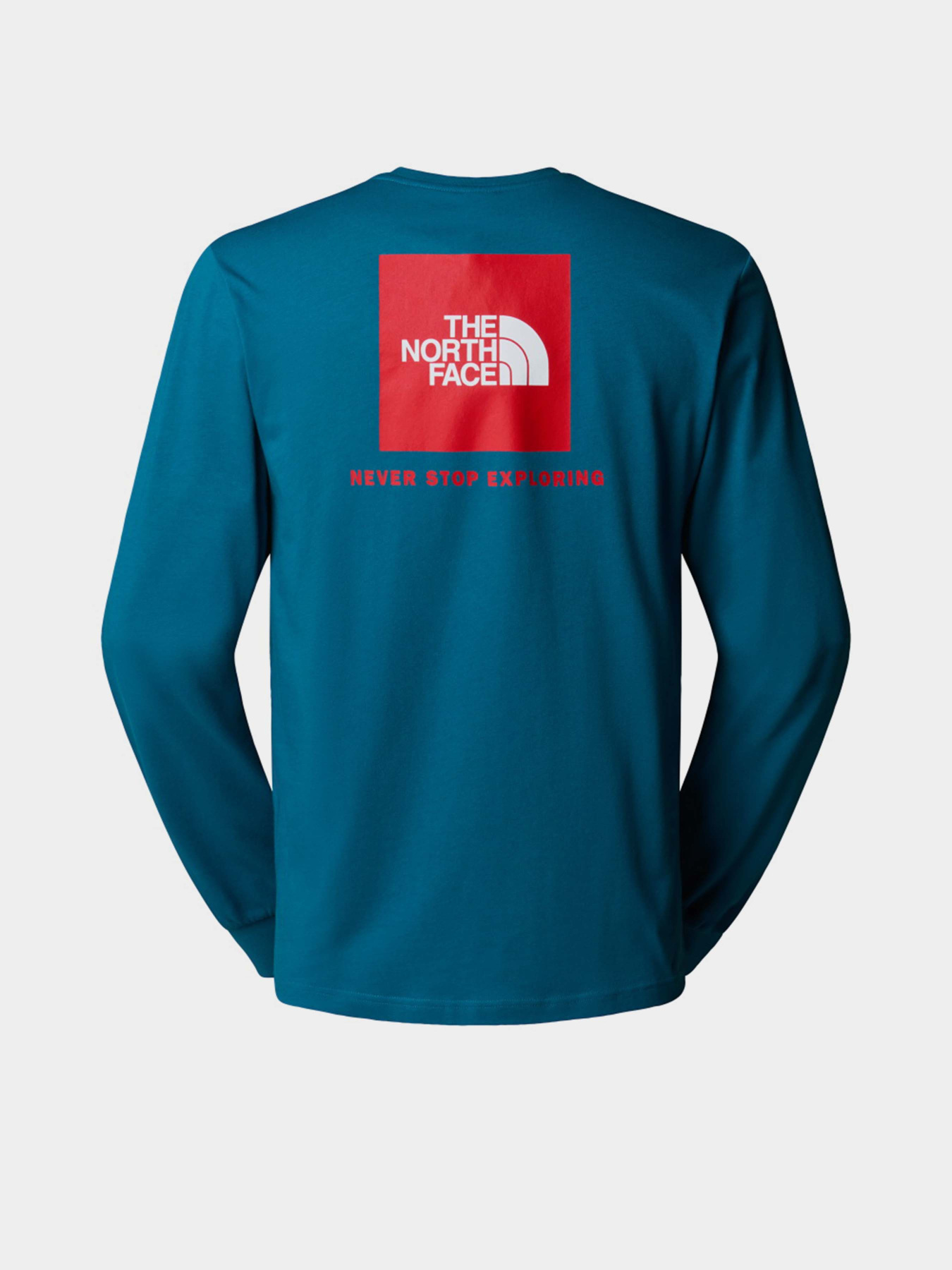 Худи и свитшоты The North Face NSE Box модель NF0A87NNF9T1 Худи и свитшоты The North Face NSE Box модель NF0A87NNF9T1 Фото