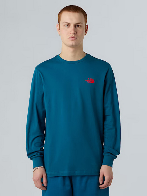 Худи и свитшоты The North Face NSE Box модель NF0A87NNF9T1 Фото
