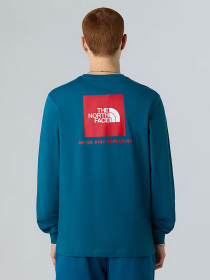 Худи и свитшоты The North Face NSE Box модель NF0A87NNF9T1 Фото