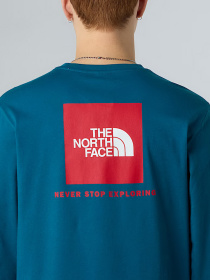 Худи и свитшоты The North Face NSE Box модель NF0A87NNF9T1 Фото